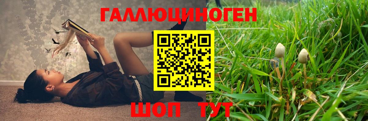 Псилоцибиновые грибы мухоморы Альметьевск